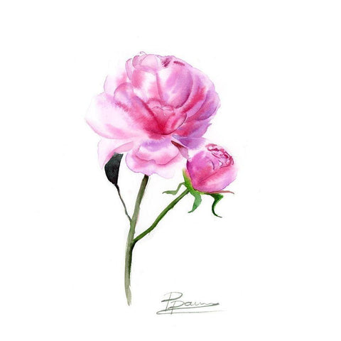 Pink Flowers V Black Modern Wood Framed Art Print with Double Matting by Shefranov, Olga