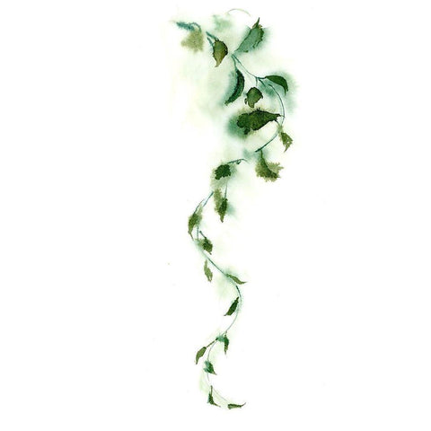 Vine White Modern Wood Framed Art Print by Shefranov, Olga