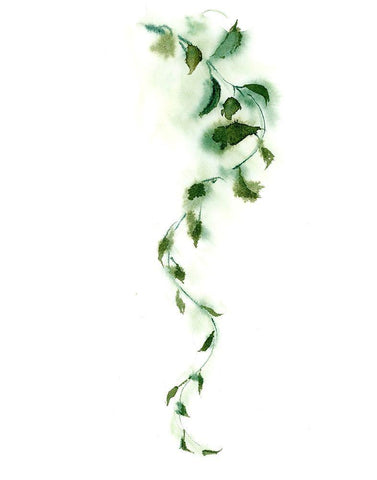 Vine White Modern Wood Framed Art Print with Double Matting by Shefranov, Olga