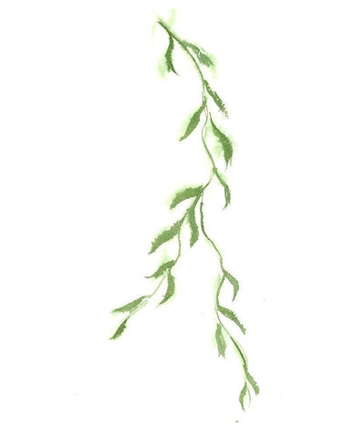 Vine II Black Ornate Wood Framed Art Print with Double Matting by Shefranov, Olga