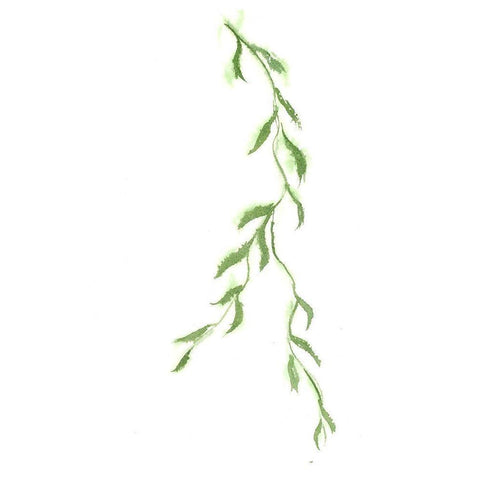 Vine II Black Modern Wood Framed Art Print with Double Matting by Shefranov, Olga