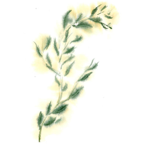 Vine III White Modern Wood Framed Art Print by Shefranov, Olga