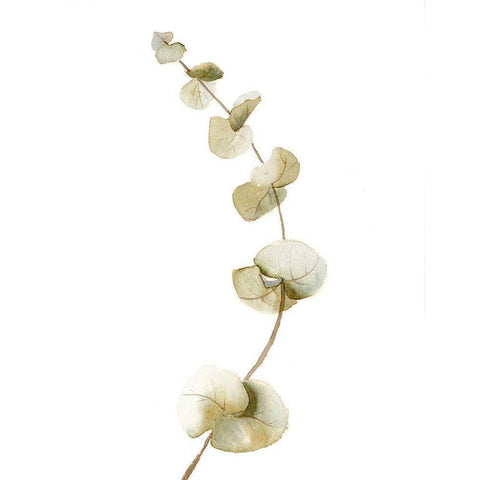 Botanical II White Modern Wood Framed Art Print by Shefranov, Olga