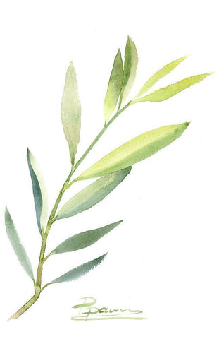 Botanical III Black Ornate Wood Framed Art Print with Double Matting by Shefranov, Olga