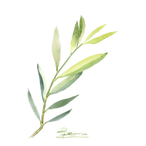 Botanical III White Modern Wood Framed Art Print by Shefranov, Olga