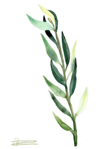 Botanical IV White Modern Wood Framed Art Print with Double Matting by Shefranov, Olga