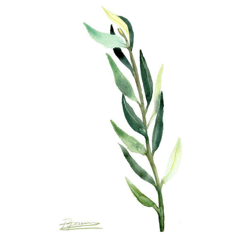 Botanical IV White Modern Wood Framed Art Print by Shefranov, Olga