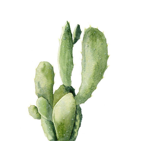 Cactus II White Modern Wood Framed Art Print by Shefranov, Olga