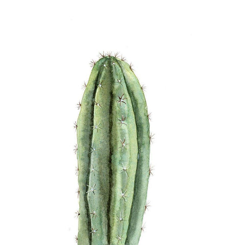 Cactus III Black Modern Wood Framed Art Print by Shefranov, Olga