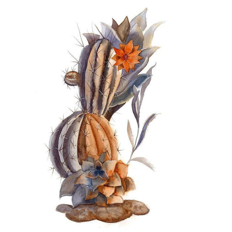 Cactus VII Black Modern Wood Framed Art Print by Shefranov, Olga