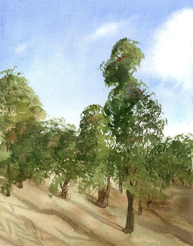 Apple Trees White Modern Wood Framed Art Print with Double Matting by Shefranov, Olga