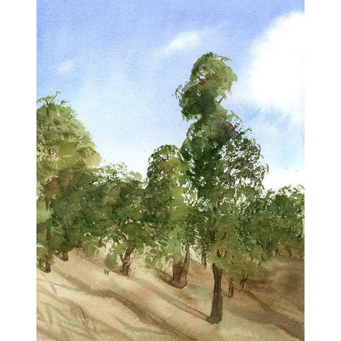 Apple Trees Black Modern Wood Framed Art Print by Shefranov, Olga