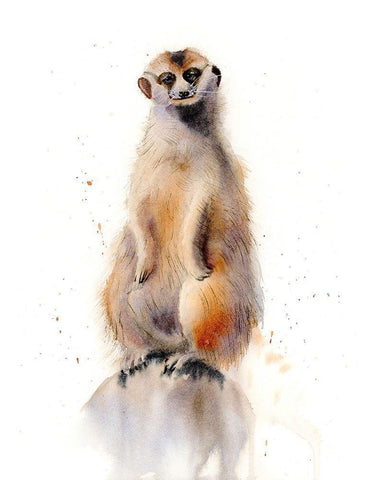 Meercat I Black Ornate Wood Framed Art Print with Double Matting by Shefranov, Olga