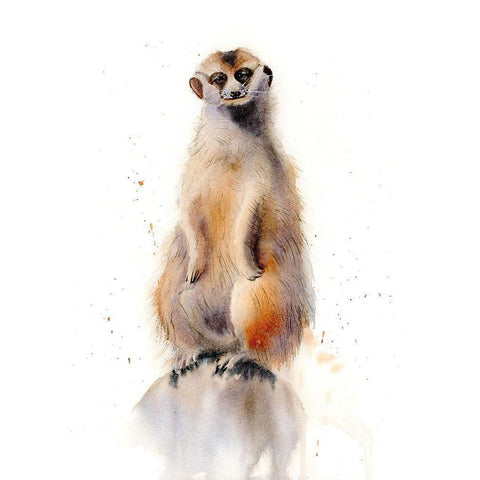Meercat I Gold Ornate Wood Framed Art Print with Double Matting by Shefranov, Olga