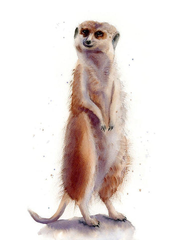 Meercat II White Modern Wood Framed Art Print with Double Matting by Shefranov, Olga