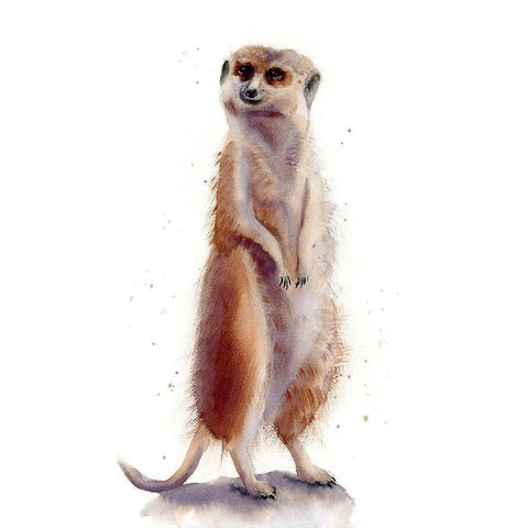 Meercat II Black Modern Wood Framed Art Print by Shefranov, Olga