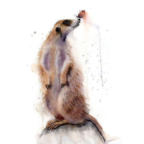 Meercat III White Modern Wood Framed Art Print by Shefranov, Olga