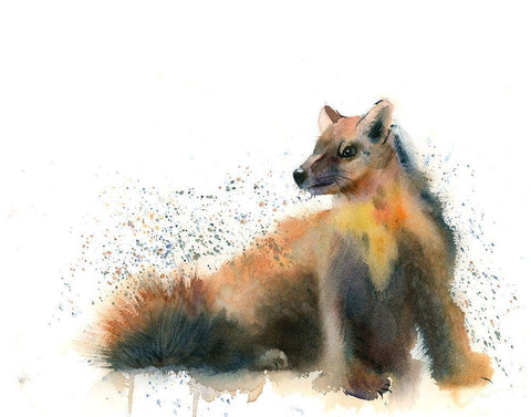 Badger White Modern Wood Framed Art Print with Double Matting by Shefranov, Olga