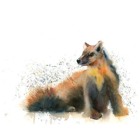 Badger Black Modern Wood Framed Art Print by Shefranov, Olga