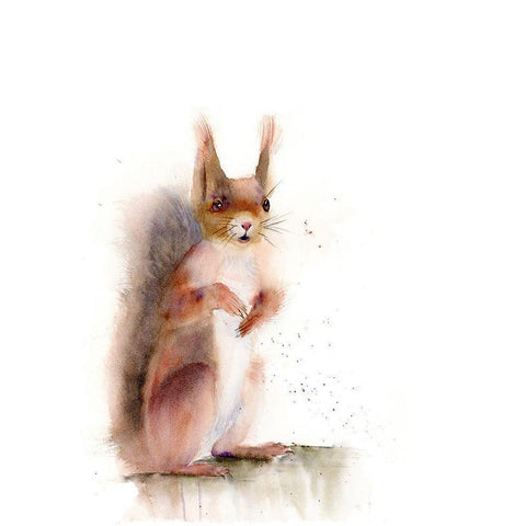 Squirrel White Modern Wood Framed Art Print by Shefranov, Olga