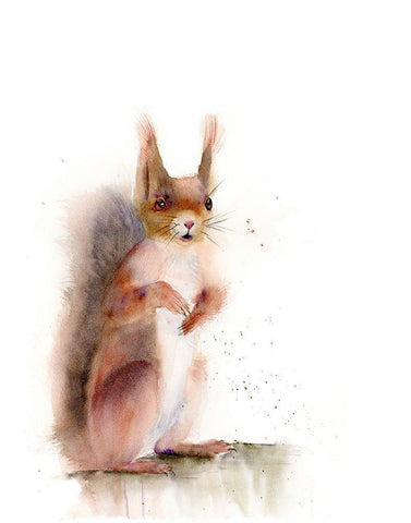 Squirrel White Modern Wood Framed Art Print with Double Matting by Shefranov, Olga