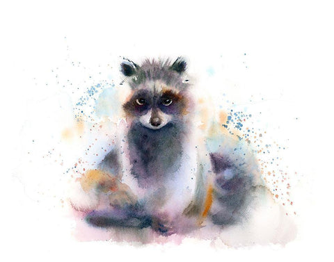 Raccoon White Modern Wood Framed Art Print with Double Matting by Shefranov, Olga