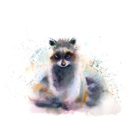 Raccoon Black Modern Wood Framed Art Print with Double Matting by Shefranov, Olga