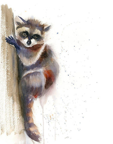 Raccoon II White Modern Wood Framed Art Print with Double Matting by Shefranov, Olga