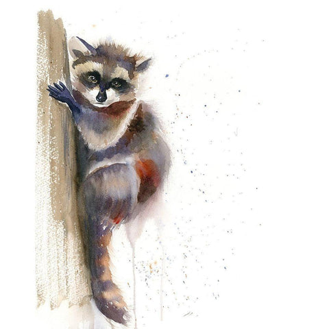 Raccoon II Black Modern Wood Framed Art Print with Double Matting by Shefranov, Olga