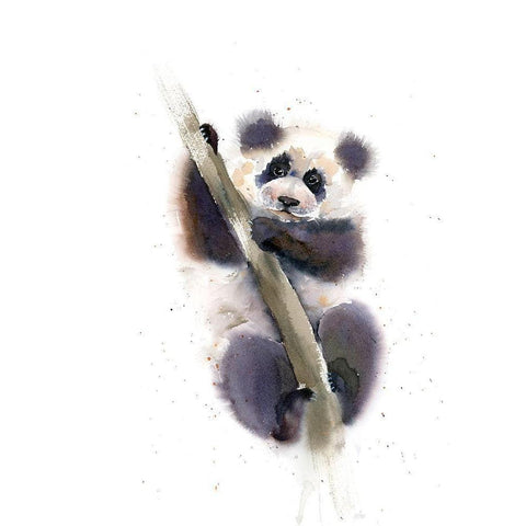 Pandy Black Modern Wood Framed Art Print by Shefranov, Olga