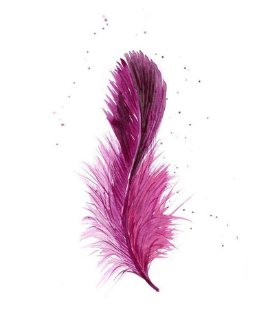 Pink Feather Black Ornate Wood Framed Art Print with Double Matting by Shefranov, Olga