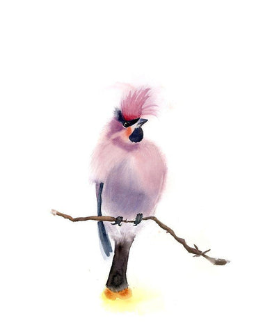 Pink Bird White Modern Wood Framed Art Print with Double Matting by Shefranov, Olga