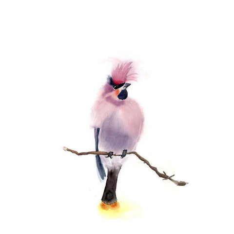 Pink Bird Black Modern Wood Framed Art Print by Shefranov, Olga