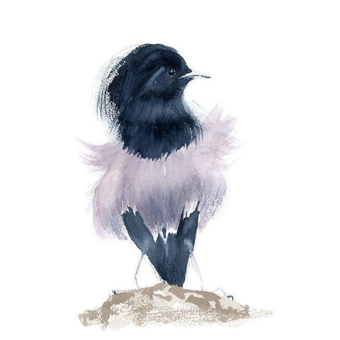 Fluffer Black Modern Wood Framed Art Print by Shefranov, Olga