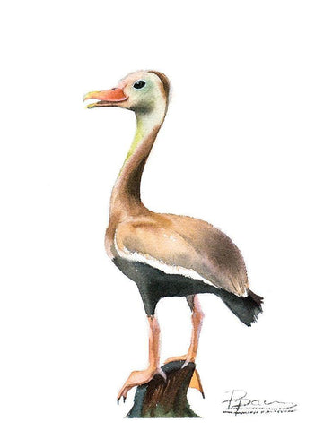 Duck White Modern Wood Framed Art Print with Double Matting by Shefranov, Olga