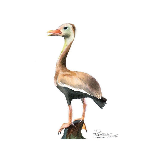 Duck Black Modern Wood Framed Art Print by Shefranov, Olga