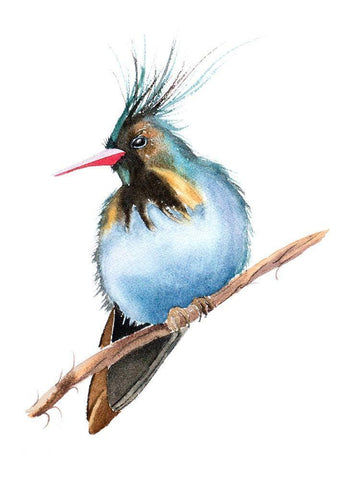 Perched Bird White Modern Wood Framed Art Print with Double Matting by Shefranov, Olga