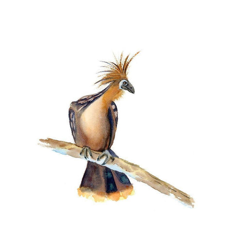 Perched Bird II Black Modern Wood Framed Art Print with Double Matting by Shefranov, Olga