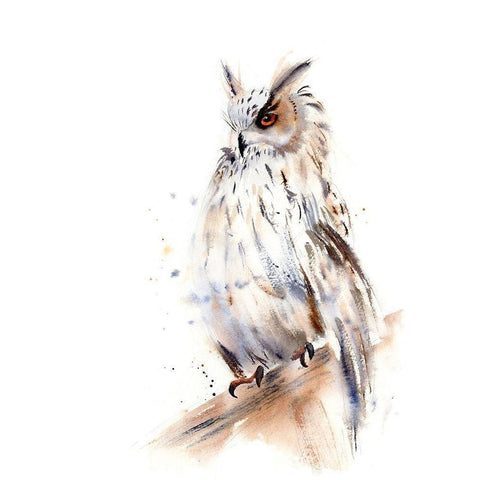 Owl Black Modern Wood Framed Art Print by Shefranov, Olga