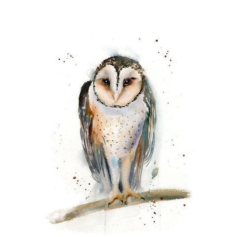 Owl II Black Modern Wood Framed Art Print with Double Matting by Shefranov, Olga