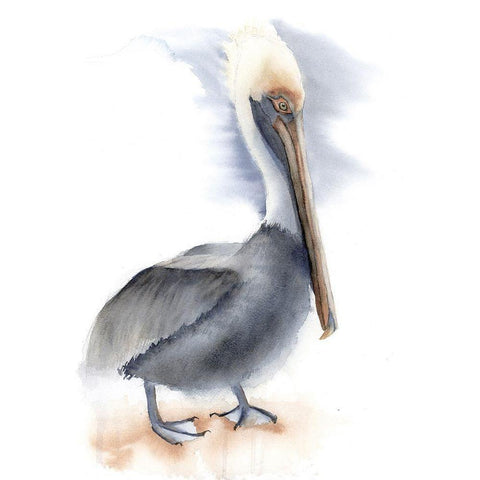 Pelican Gold Ornate Wood Framed Art Print with Double Matting by Shefranov, Olga