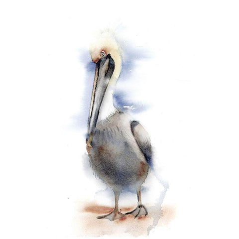 Pelican II Black Modern Wood Framed Art Print by Shefranov, Olga