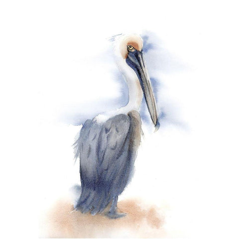 Pelican III White Modern Wood Framed Art Print by Shefranov, Olga