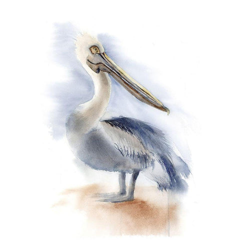 Pelican IV Gold Ornate Wood Framed Art Print with Double Matting by Shefranov, Olga