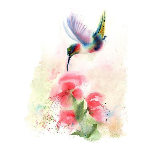 Red Flower Hummingbird Black Modern Wood Framed Art Print with Double Matting by Shefranov, Olga