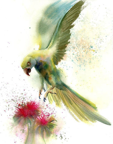 Green Bird White Modern Wood Framed Art Print with Double Matting by Shefranov, Olga