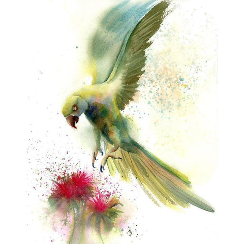 Green Bird Black Modern Wood Framed Art Print by Shefranov, Olga