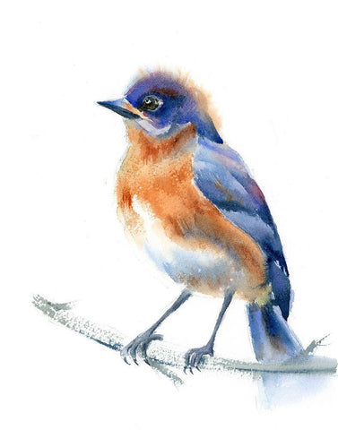 Phoebe Black Ornate Wood Framed Art Print with Double Matting by Shefranov, Olga