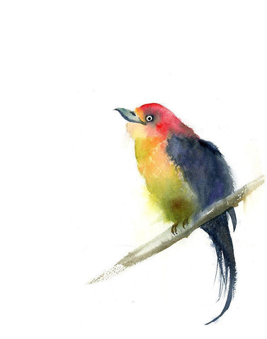 Luann Black Ornate Wood Framed Art Print with Double Matting by Shefranov, Olga