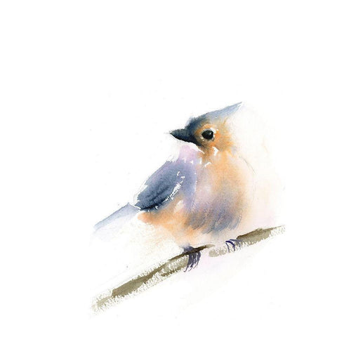 Sonja Black Modern Wood Framed Art Print with Double Matting by Shefranov, Olga